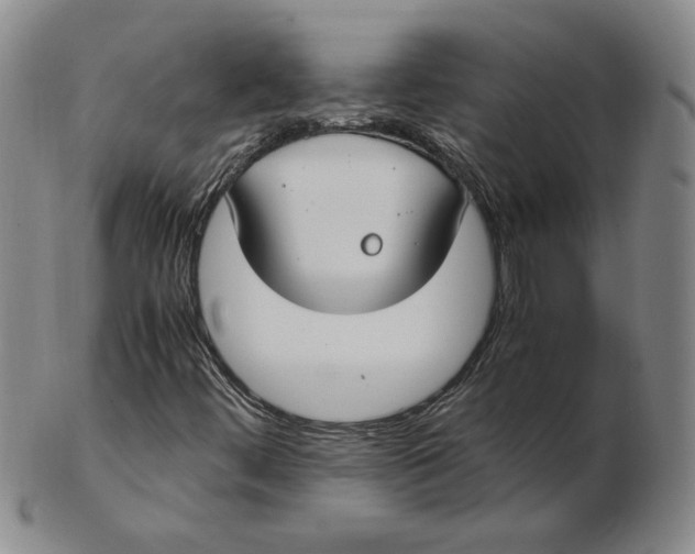 X0000103141444200809121743