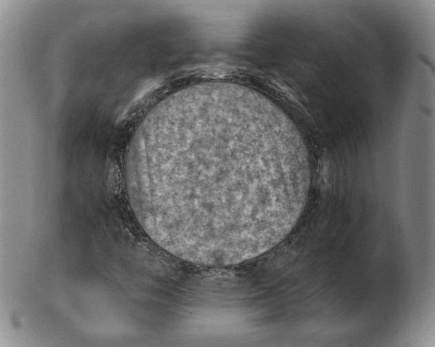 X0000103141446200809121743