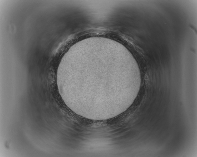 X0000103141447200809121743