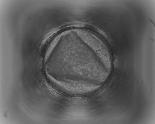 X0000103141448200809121743