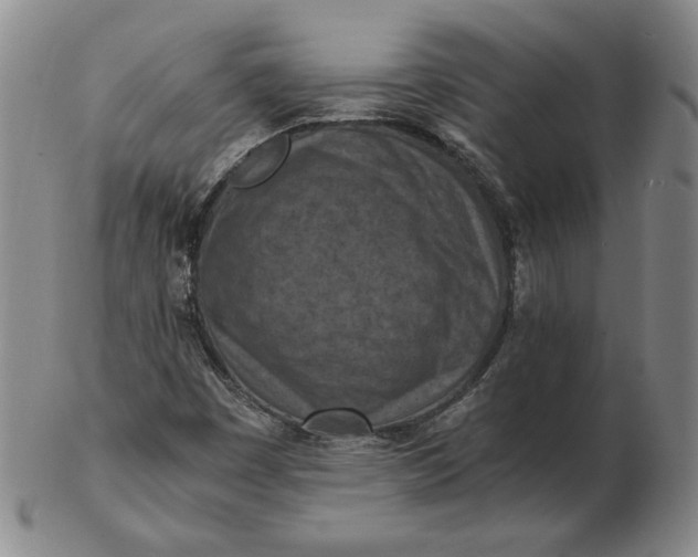 X0000103141449200809121743