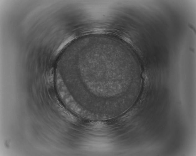 X0000103141450200809121743