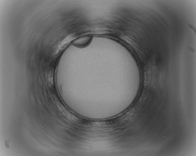 X0000103141451200809121743