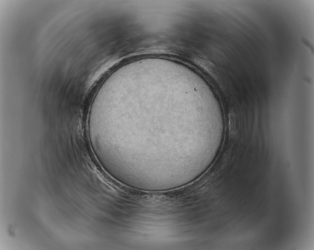 X0000103141452200809121743