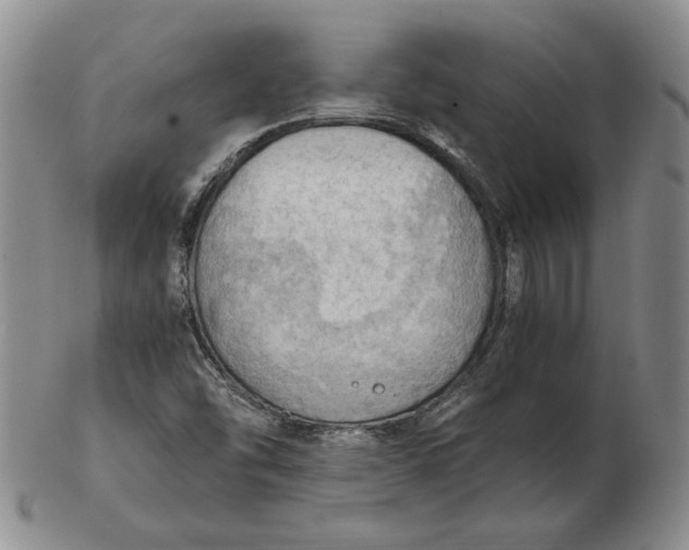 X0000103141454200809121743