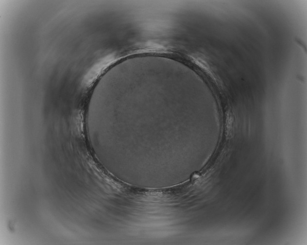 X0000103141455200809121743