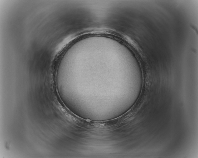 X0000103141456200809121743