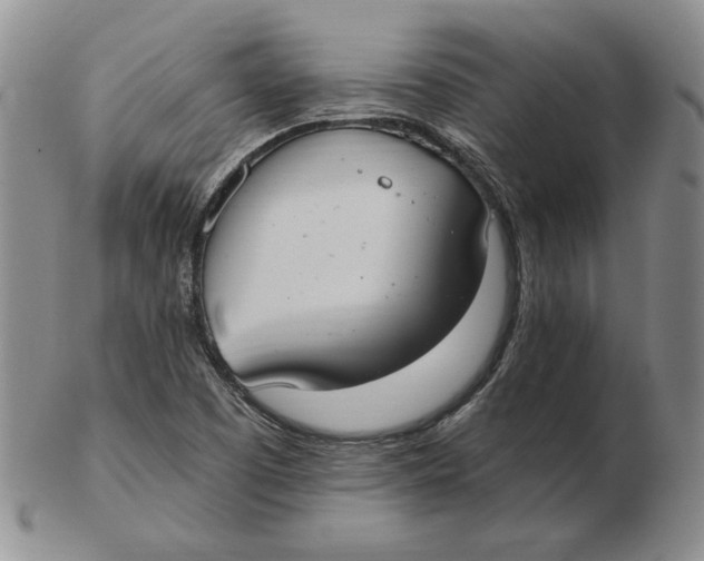 X0000103141457200809121743