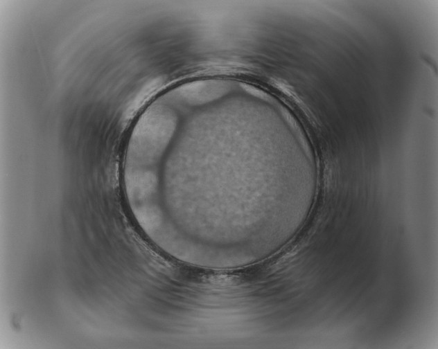 X0000103141459200809121743