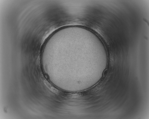 X0000103141460200809121743