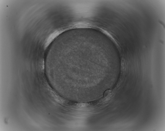 X0000103141461200809121743