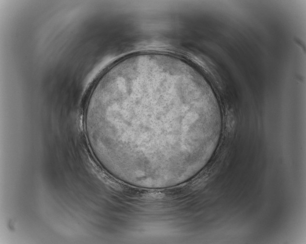 X0000103141462200809121743