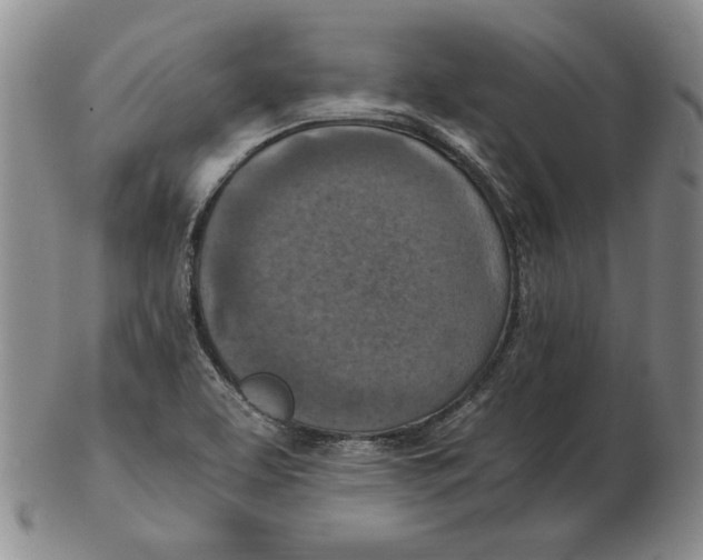 X0000103141463200809121743