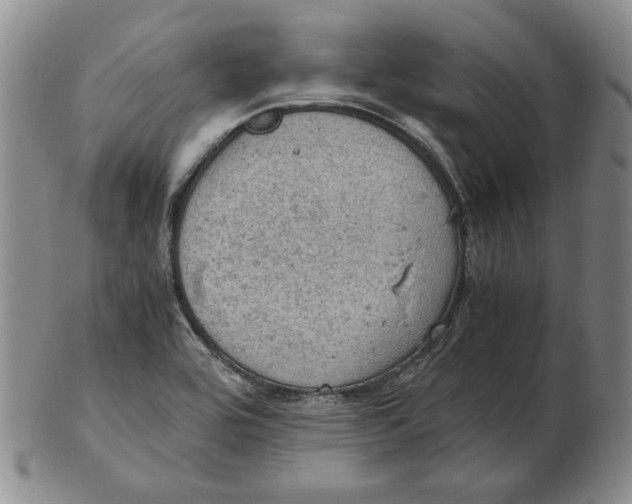 X0000103141464200809121743