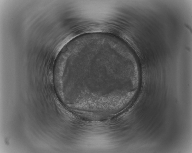 X0000103141465200809121743