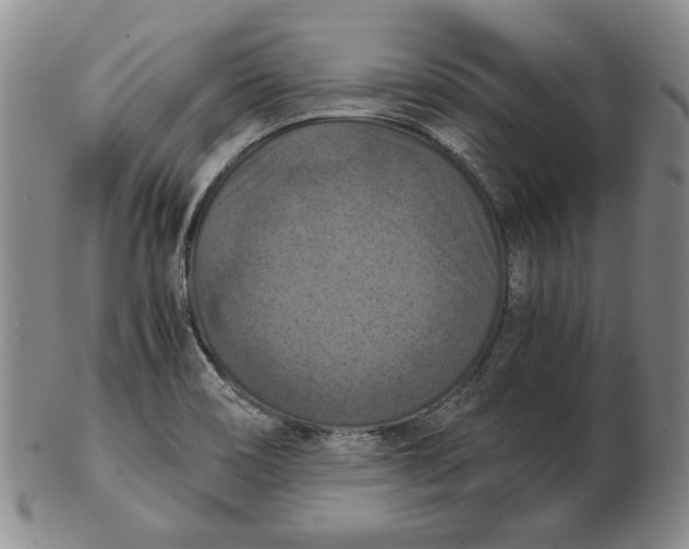 X0000103141466200809121743