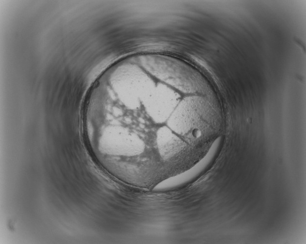 X0000103141467200809121743