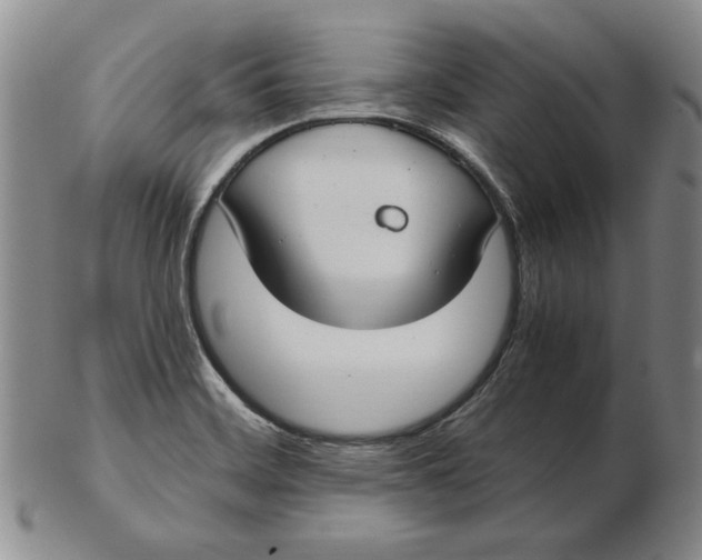 X0000103141468200809121743