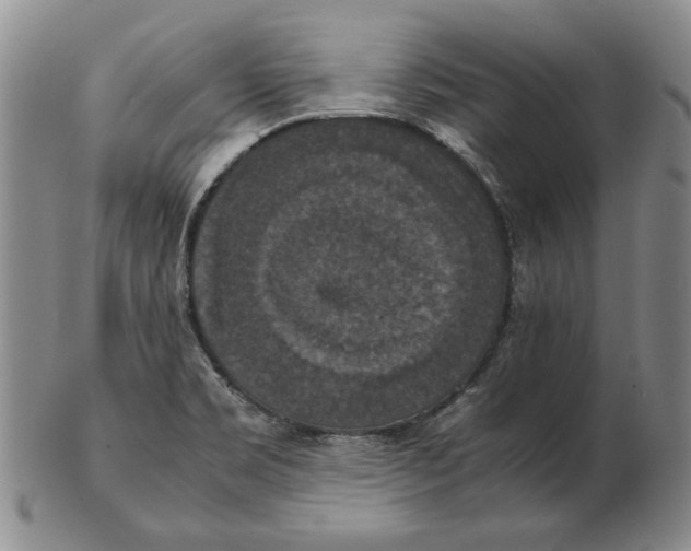 X0000103141469200809121743