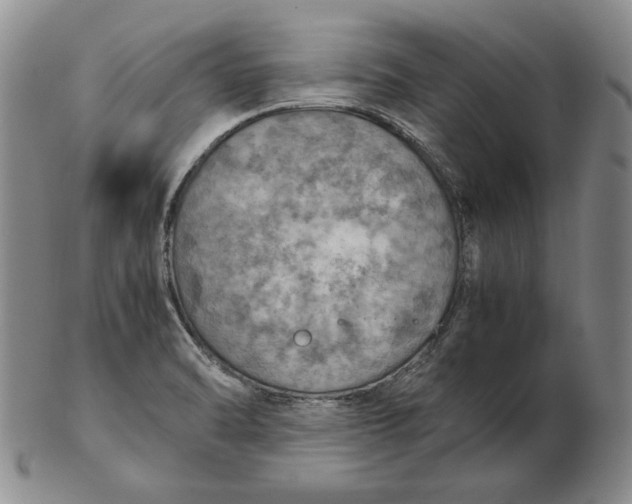 X0000103141470200809121743