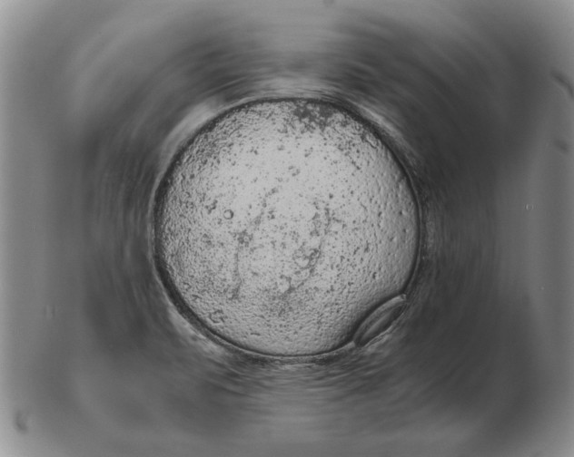 X0000103141471200809121743