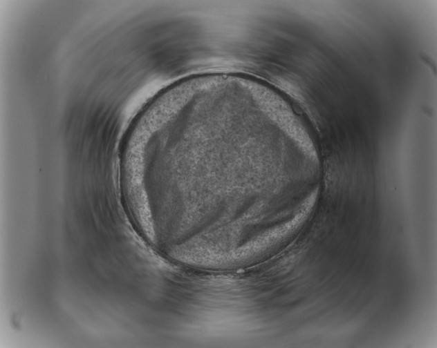 X0000103141472200809121743