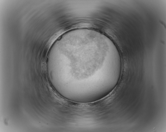 X0000103141473200809121743