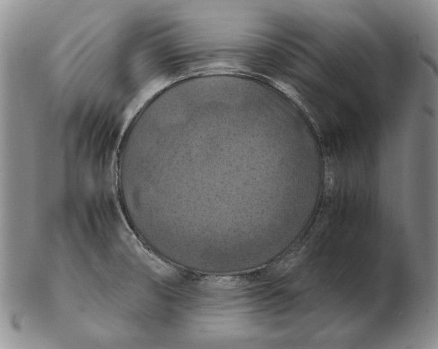 X0000103141474200809121743