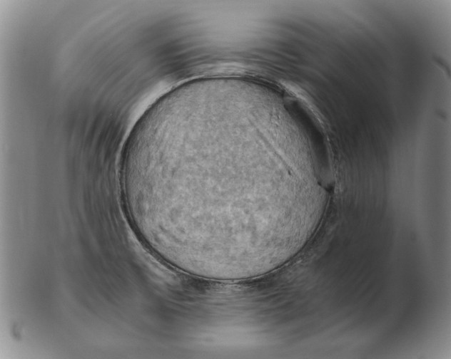 X0000103141475200809121743