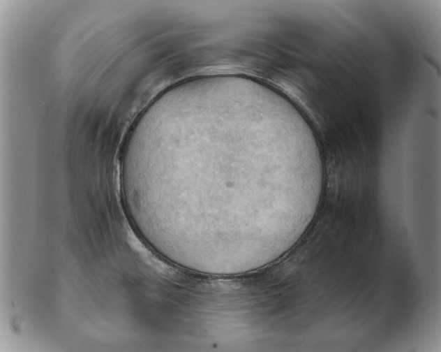 X0000103141476200809121743