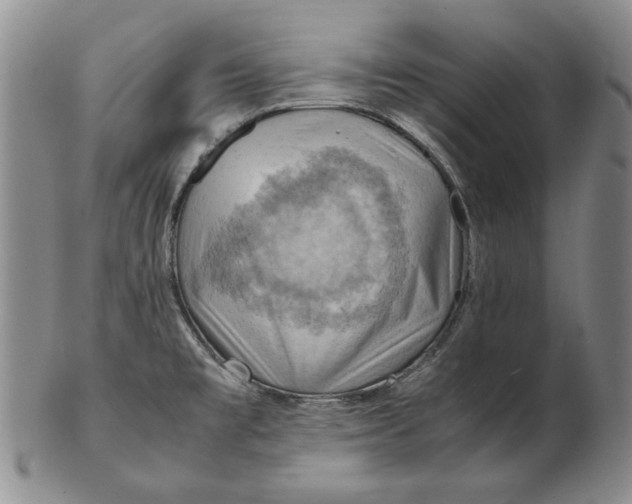 X0000103141477200809121743