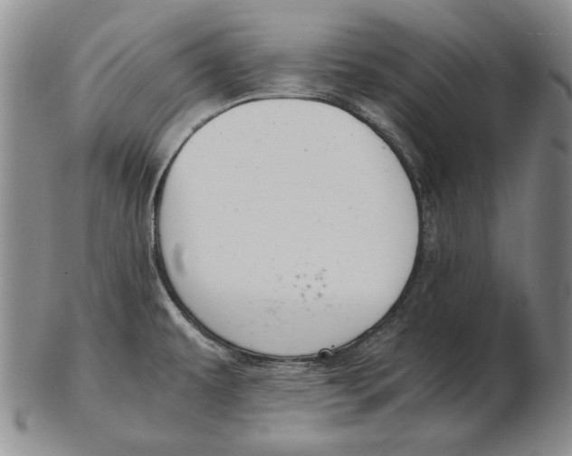 X0000103141479200809121743