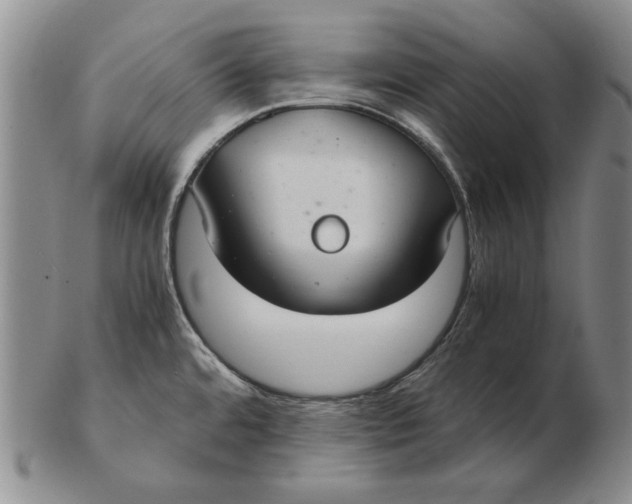 X0000103141480200809121743