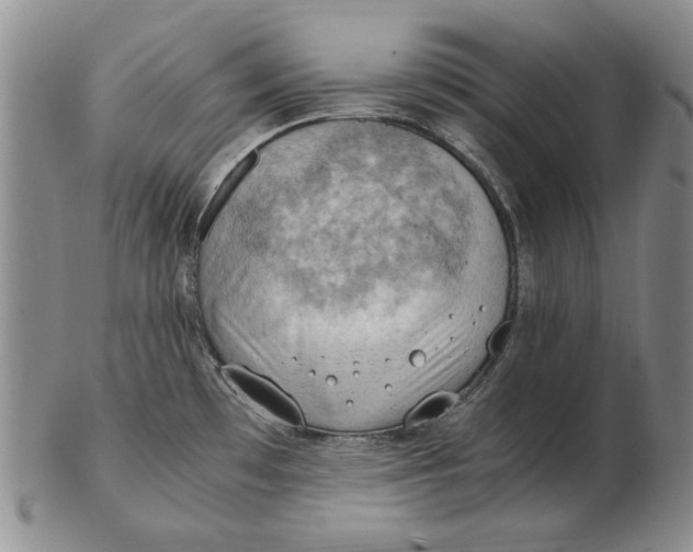 X0000103141481200809121743