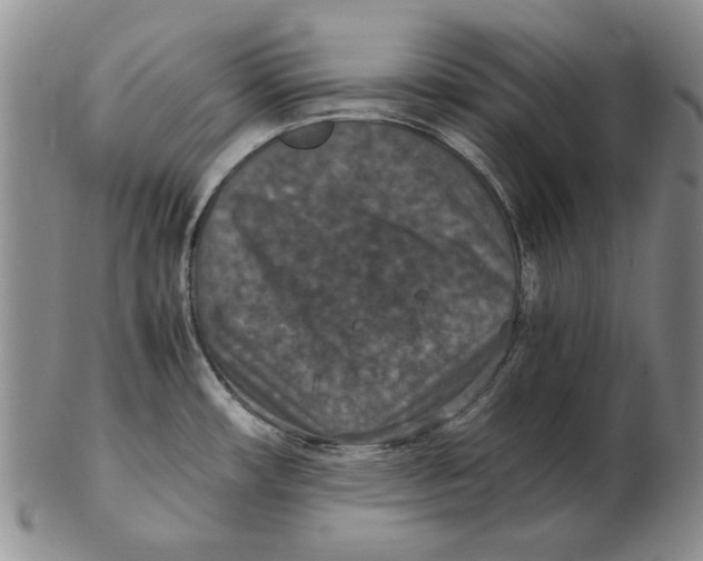 X0000103141482200809121743