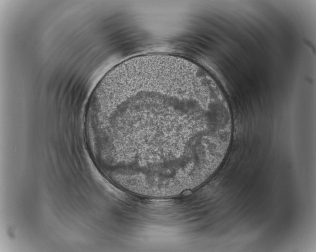 X0000103141483200809121743