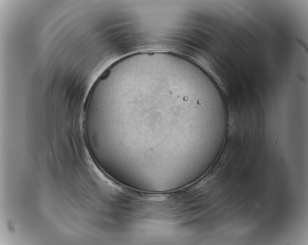 X0000103141484200809121743