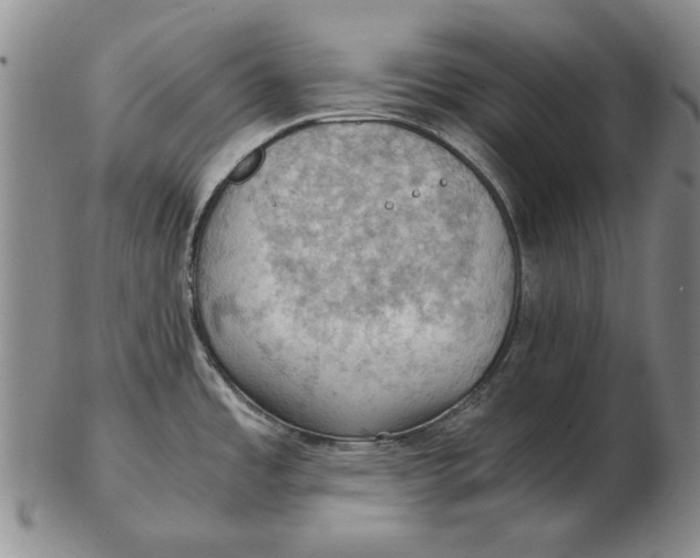 X0000103141485200809121743