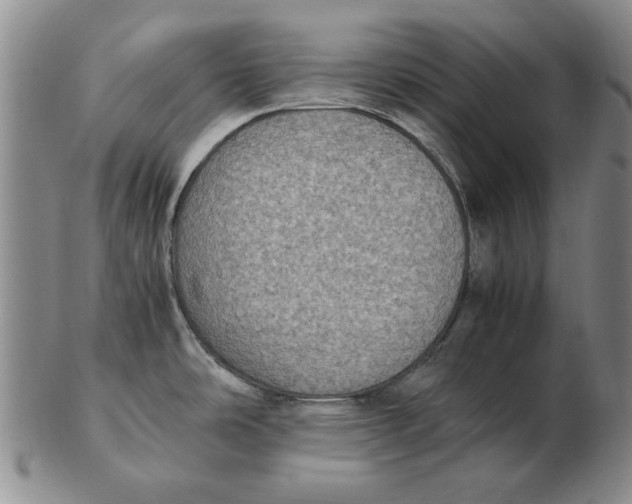 X0000103141486200809121743