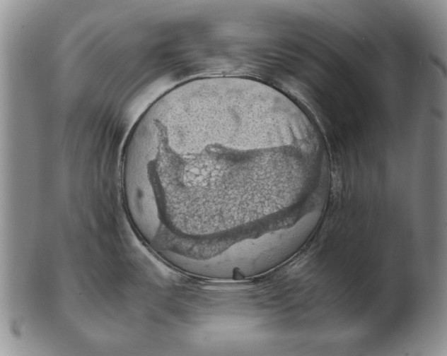 X0000103141487200809121743