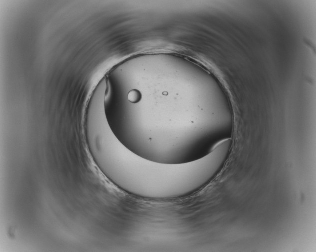 X0000103141488200809121743