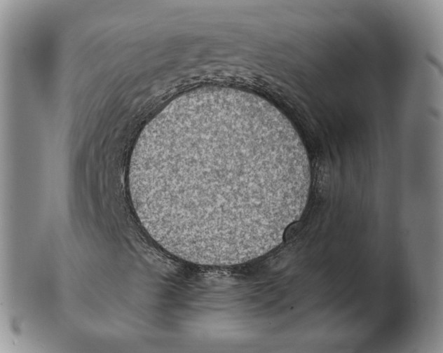 X0000103141489200809121742