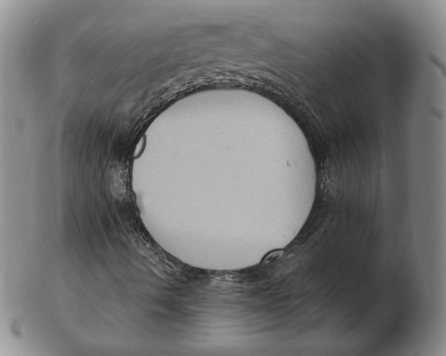 X0000103141490200809121742