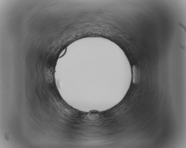 X0000103141491200809121742