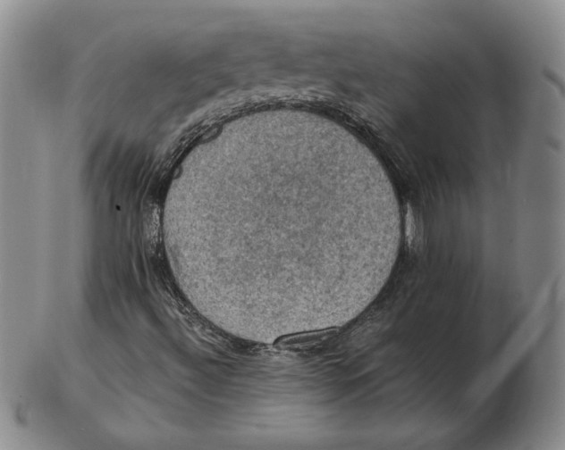 X0000103141492200809121742