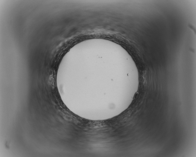 X0000103141493200809121742