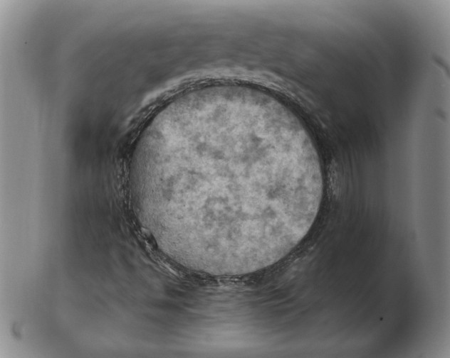 X0000103141494200809121742