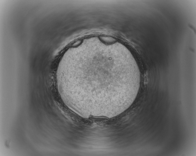 X0000103141496200809121742