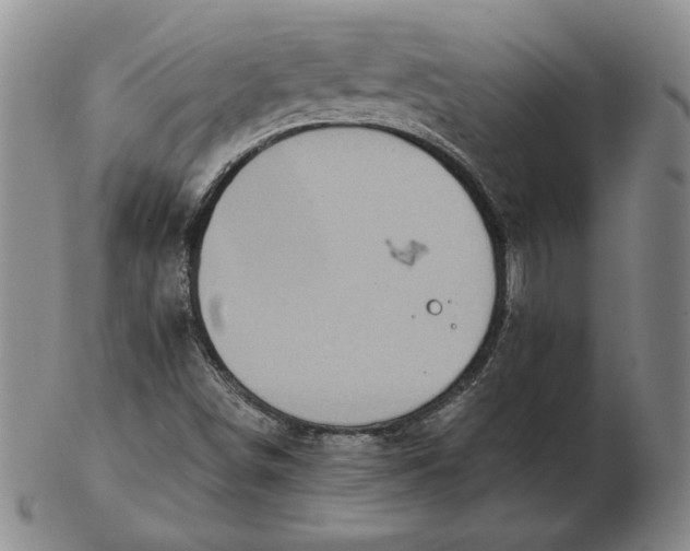 X0000103141498200809121742