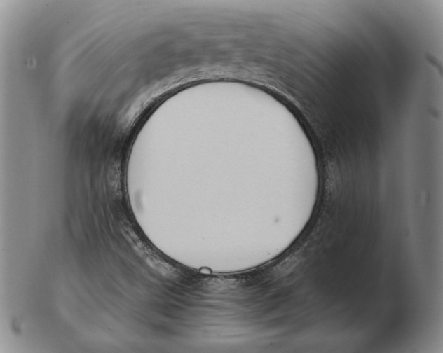 X0000103141499200809121742